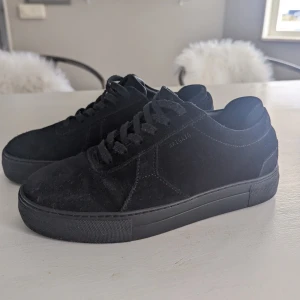Axel arigato sneakers storlek 41 - Säljer ett par svarta axel arigato sneakers jättefint skick. Storlek 41