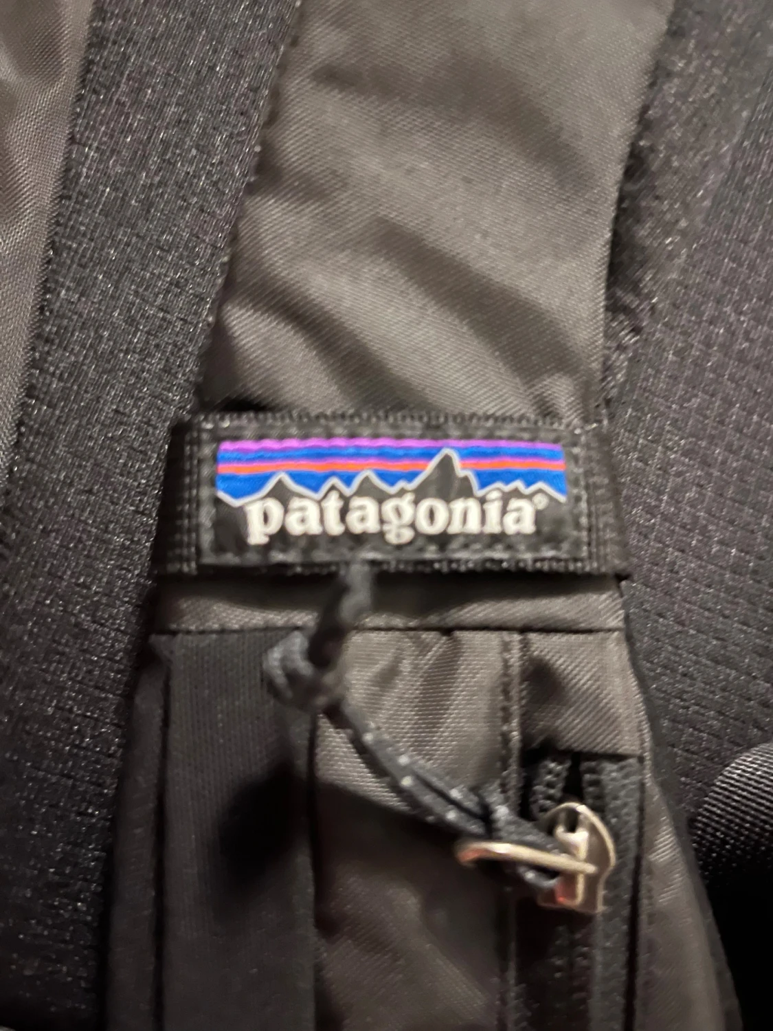 Svart ryggsäck från Patagonia