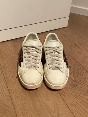 Guccii ace snake - Tja! Säljer dessa guccii ace snake skor för att jag inte använder de längre. Har allt tillbehör förutom boxen. De är i bra skick och är i storlek 43. Finns mer bilder om du frågor om de