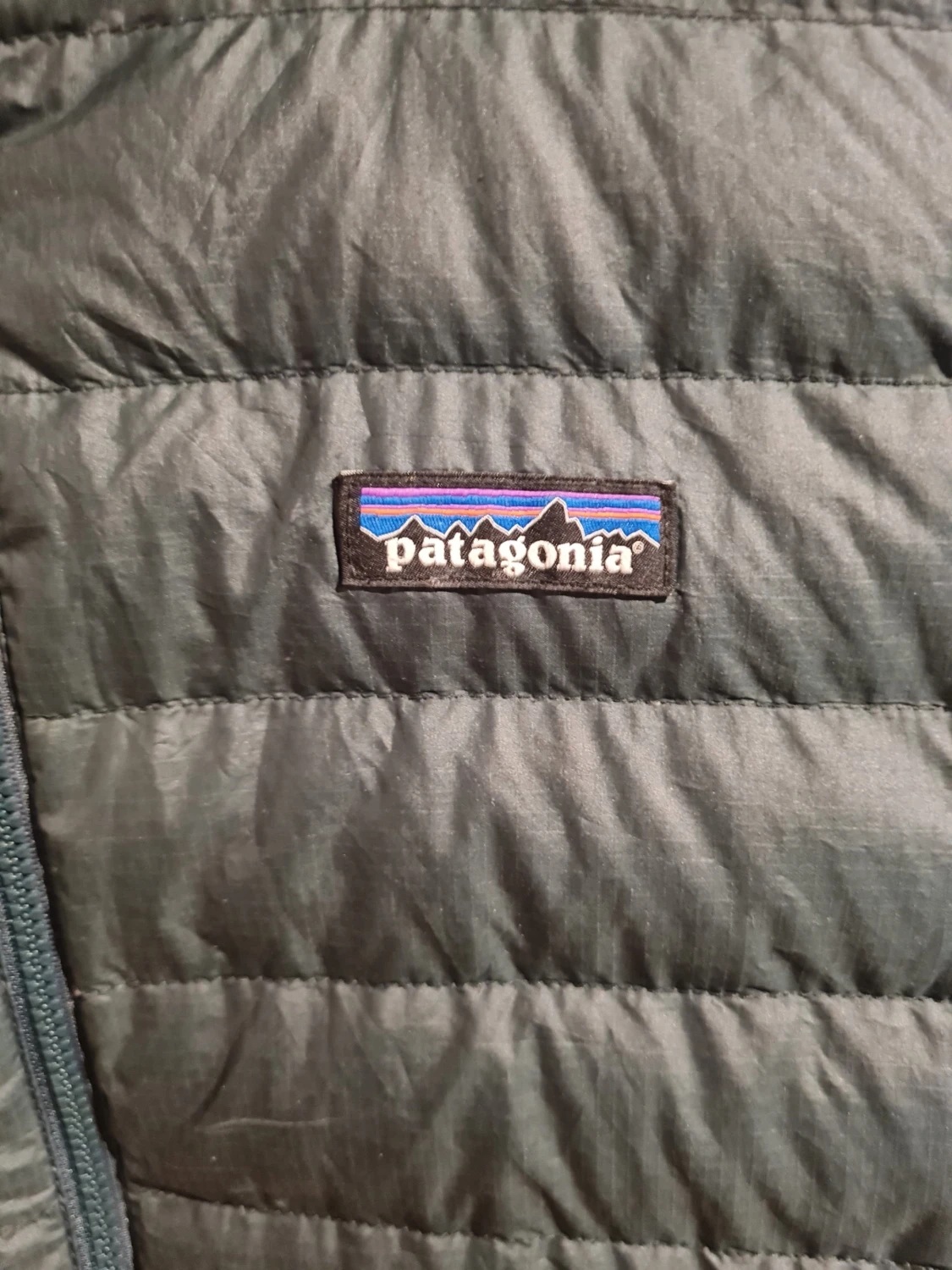 Patagonia Men's Down Sweater hoody