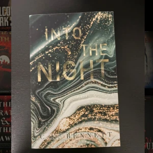 Into the Night - En bok med ett mystiskt och lockande omslag i mörka och glittrande färger. Perfekt för dig som gillar spännande och dramatiska berättelser. Titeln och designen väcker nyfikenhet och passar dig som söker något utöver det vanliga.