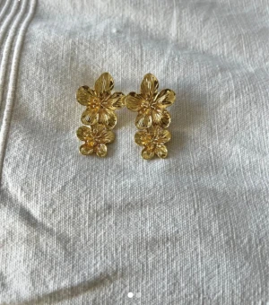 Guld örhängen  - Rostfri stål