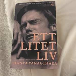 Ett litet liv - En gripande roman om fyra vänner som flyttar till New York och kämpar med vänskap, kärlek och sina drömmar. Perfekt för dig som vill läsa en stark och känslosam berättelse om livet, relationer och att hitta sin plats i världen.