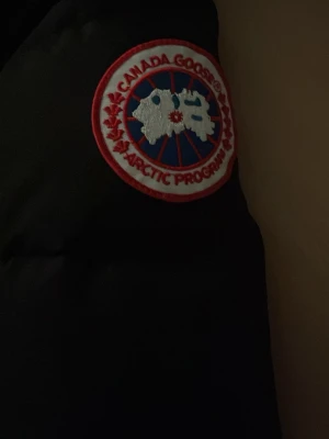 Svart Canada Goose dunjacka med päls - Säljer en svart dunjacka från Canada Goose i storlek S. Jackan har en fluffig huva med päls, klassisk logga på ärmen och dragkedja framtill. Perfekt för kalla vinterdagar och har en schysst, puffer-design som är både snygg och praktisk.