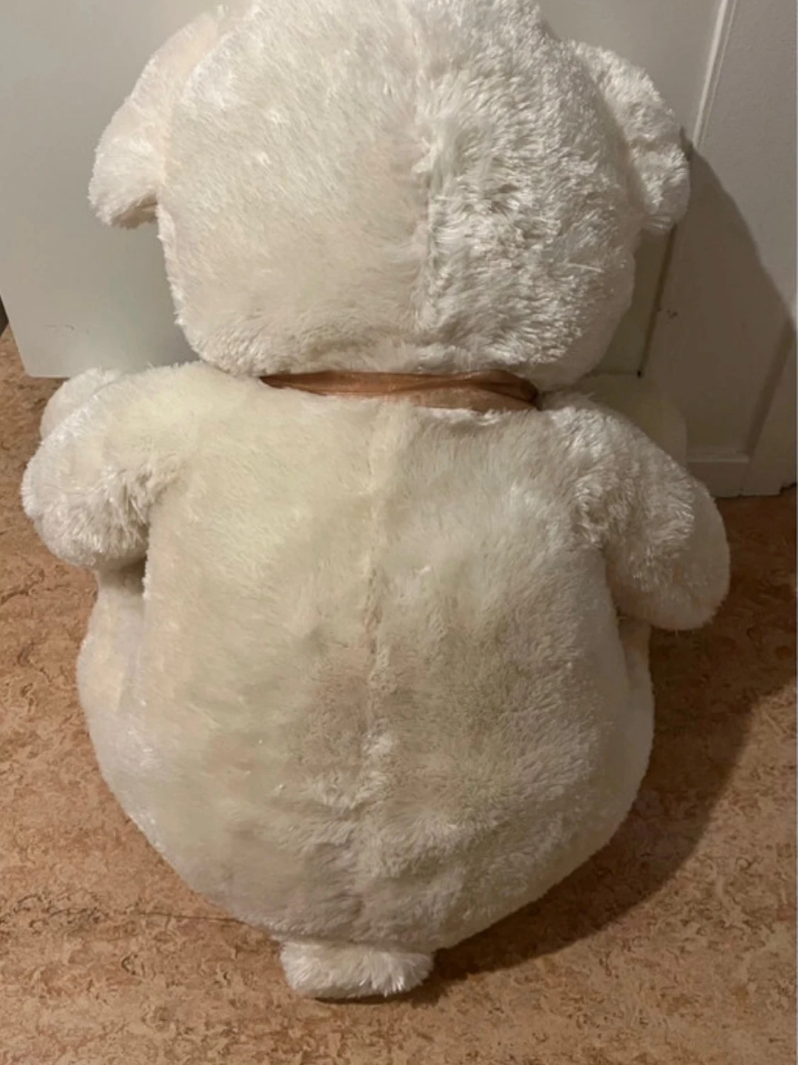 Stor vit nallebjörn  - 3