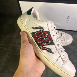 Gucci ace snake sneakers - Mycket fint skick | Size 8 passar 42/43  | fraktar spårbart inom 24 timmar |  för att köpa klicka ” köp nu” | vid frågor skriv ett meddelande |