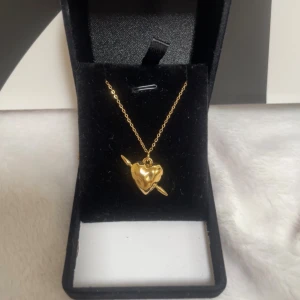 Guldigt halsband med detaljerat  hjärthänge - Snyggt halsband i guld med ett coolt hjärthänge som har en pil genom sig. Kedjan är tunn och hängsmycket har en blank, lite chunky look. Perfekt för dig som gillar statement-smycken med romantisk vibe. Rostfri 