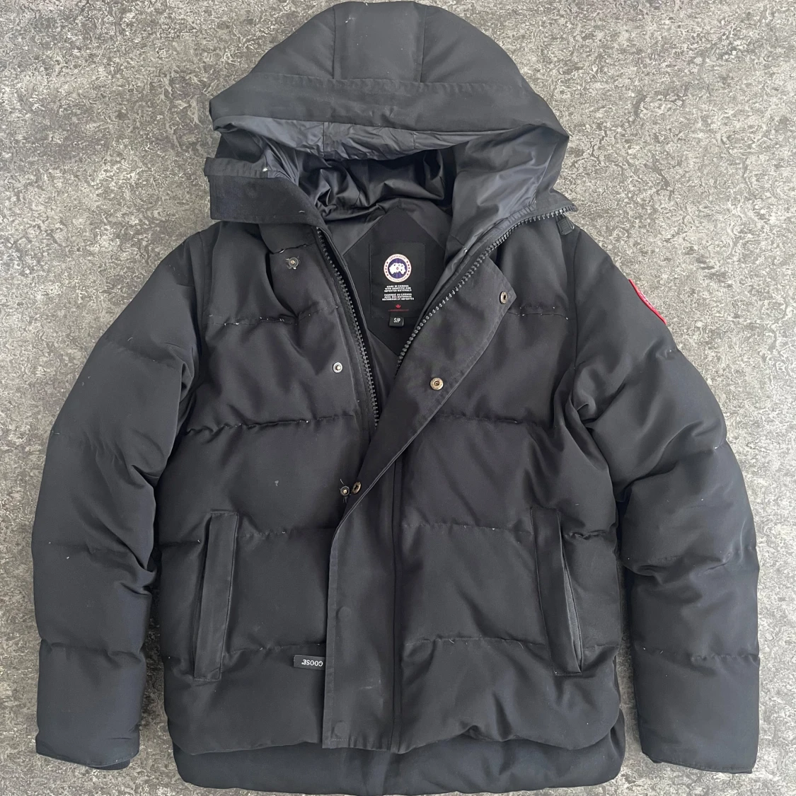 MacMillan Canada Goose - 2