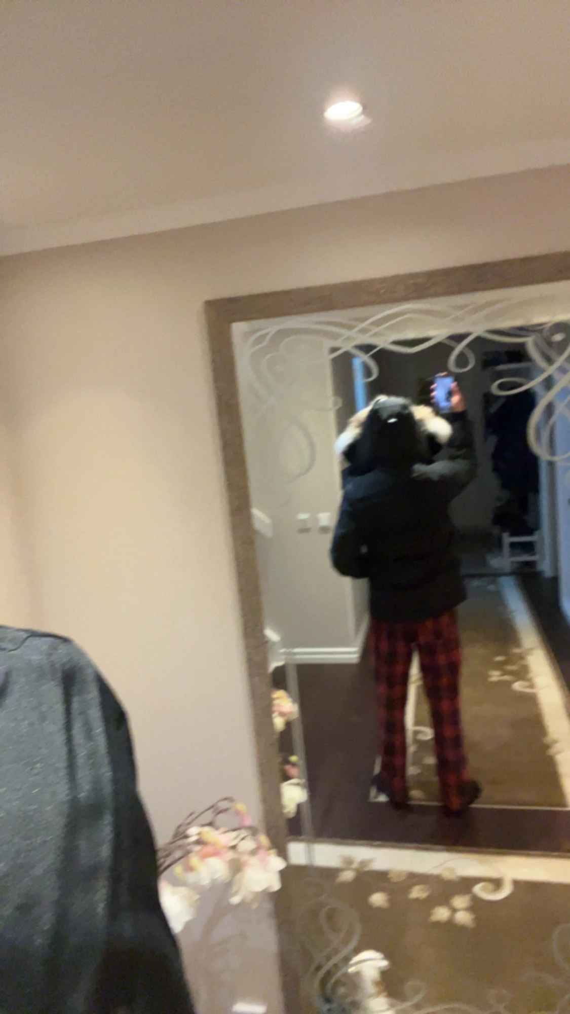 Canada goose Wyndham Parka (Black label) - 1