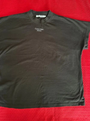 Svart t-shirt från Calvin Klein Jeans M  - Svart t-shirt från Calvin Klein Jeans med vit logga tryckt på bröstet. Klassisk rund halsringning och rak passform. Perfekt för en stilren och enkel look. Tillverkad i mjuk bomull som känns skön mot huden.