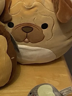 Squishmallows hund  - Nyskick 30cm