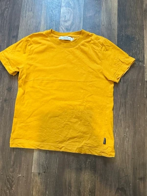 T-shirt - Standard T-shirt.