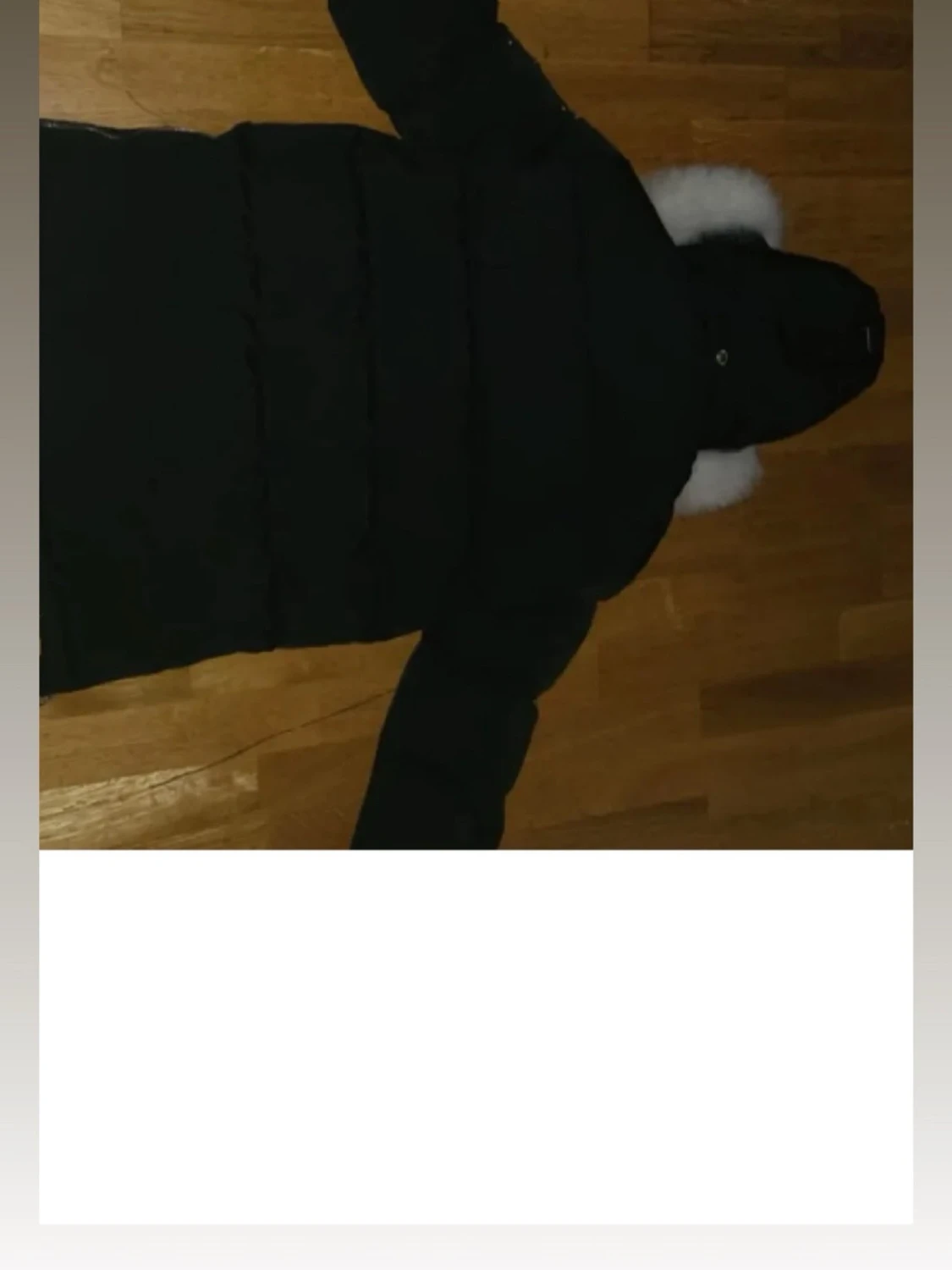 Svart dunjacka från Moose Knuckles - 1