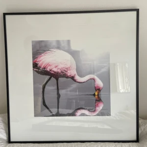 En stål ram med äkta glas.  - En tavla från IKEA vilket innebär tålig och stabilt. Det är en svart stålram som kramar äkta glas. Det är ett print på en flamingo som får medföljas eller ej beroende på vad kund vill. Mått: bredd 51cm & längd 52cm