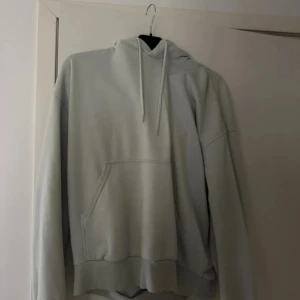 Ljusblå hoodie med alien-tryck - Snygg grå hoodie med huva och snörning. På ryggen finns ett stort tryck med texten 'SPIRITUAL CONSULTANT' och en gul alien som gör peace-tecken. Tröjan har en klassisk känguruficka framtill och är perfekt för dig som gillar unika prints. Katt finns i hemmet!