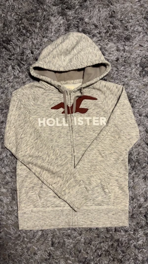 Hollister Hoodie  - As frän hoodie utan några defekter 