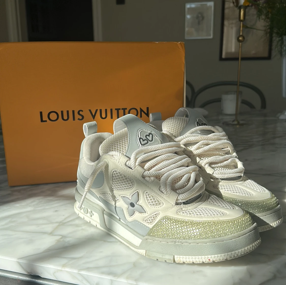 Louis Vuitton skates