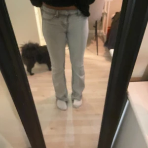 Ljusgrå bootcut jeans i storlek 32 - Snygga ljusgrå low waist bootcut jeans som är från H&M köpte de för 200kr och har knappt användt dem kanske 1-2 gånger men känner att det inte är min färg annars är det verkligen super snygga. Det är väldigt låga men det är väldigt snygga.💞