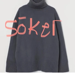 Stickad tröja - Söker denna från Hm!!!!