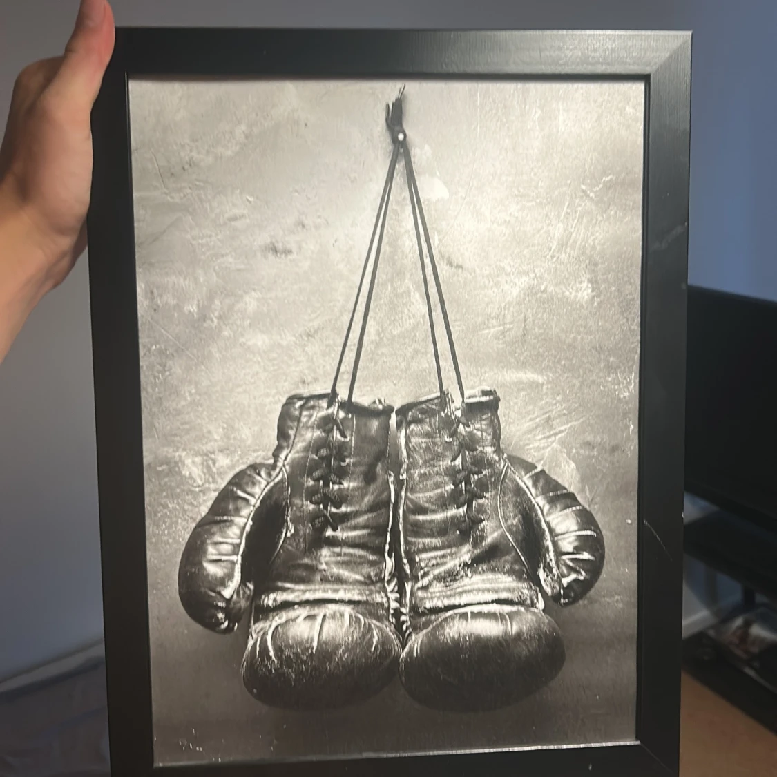 Tavla boxningshandskar 
