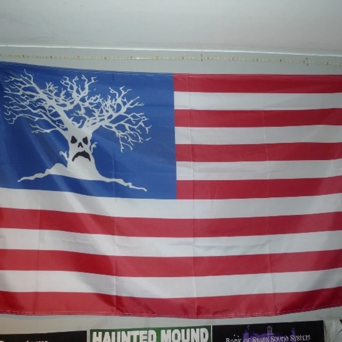 HAUNTED MOUND FLAG🎃🎃🎃