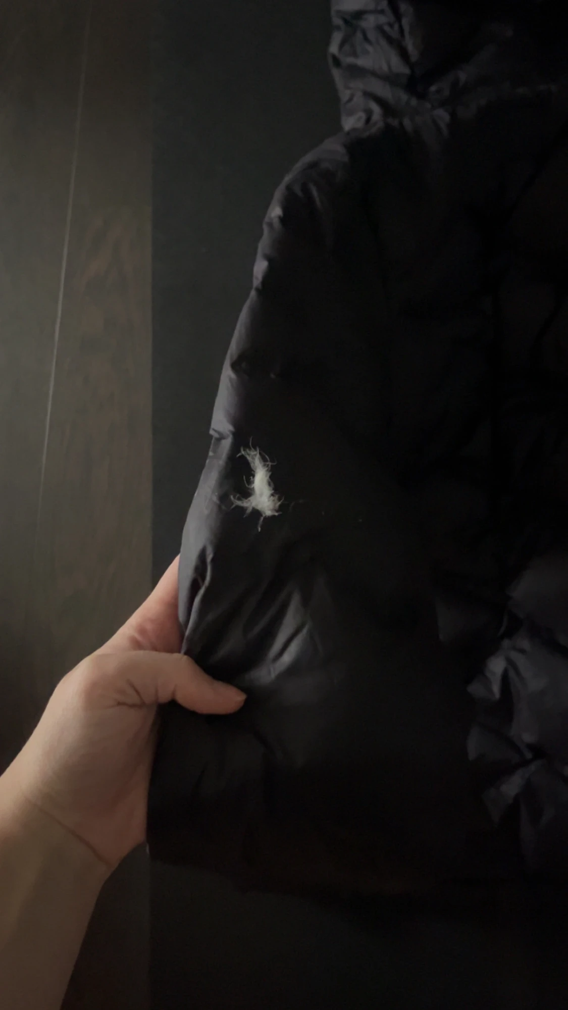 Svart lättviksjacka med huva från 8848 Altitude - 1