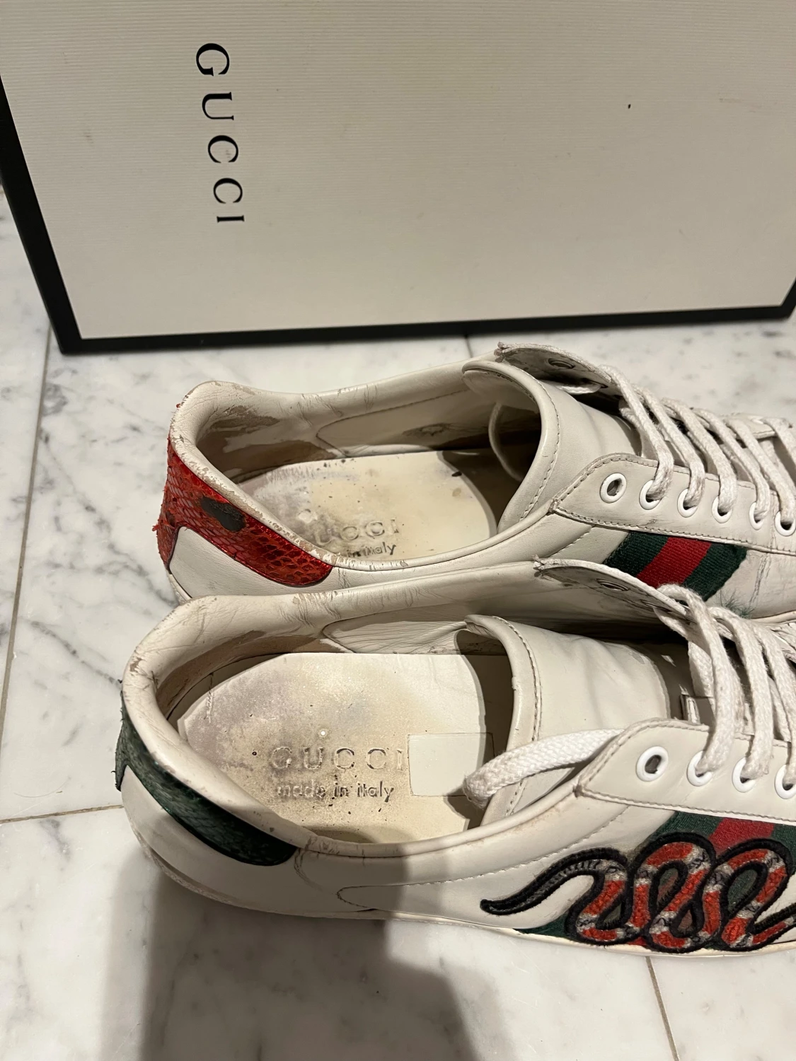 Gucci Ace ✅byte - 5