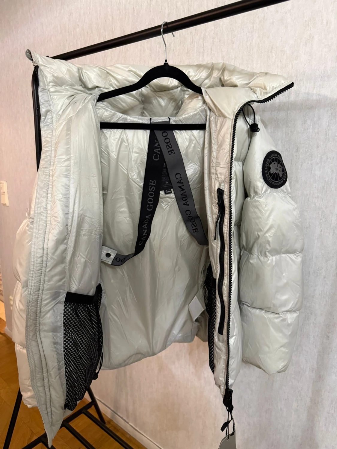 Ljusgrå  Canada Goose - 1