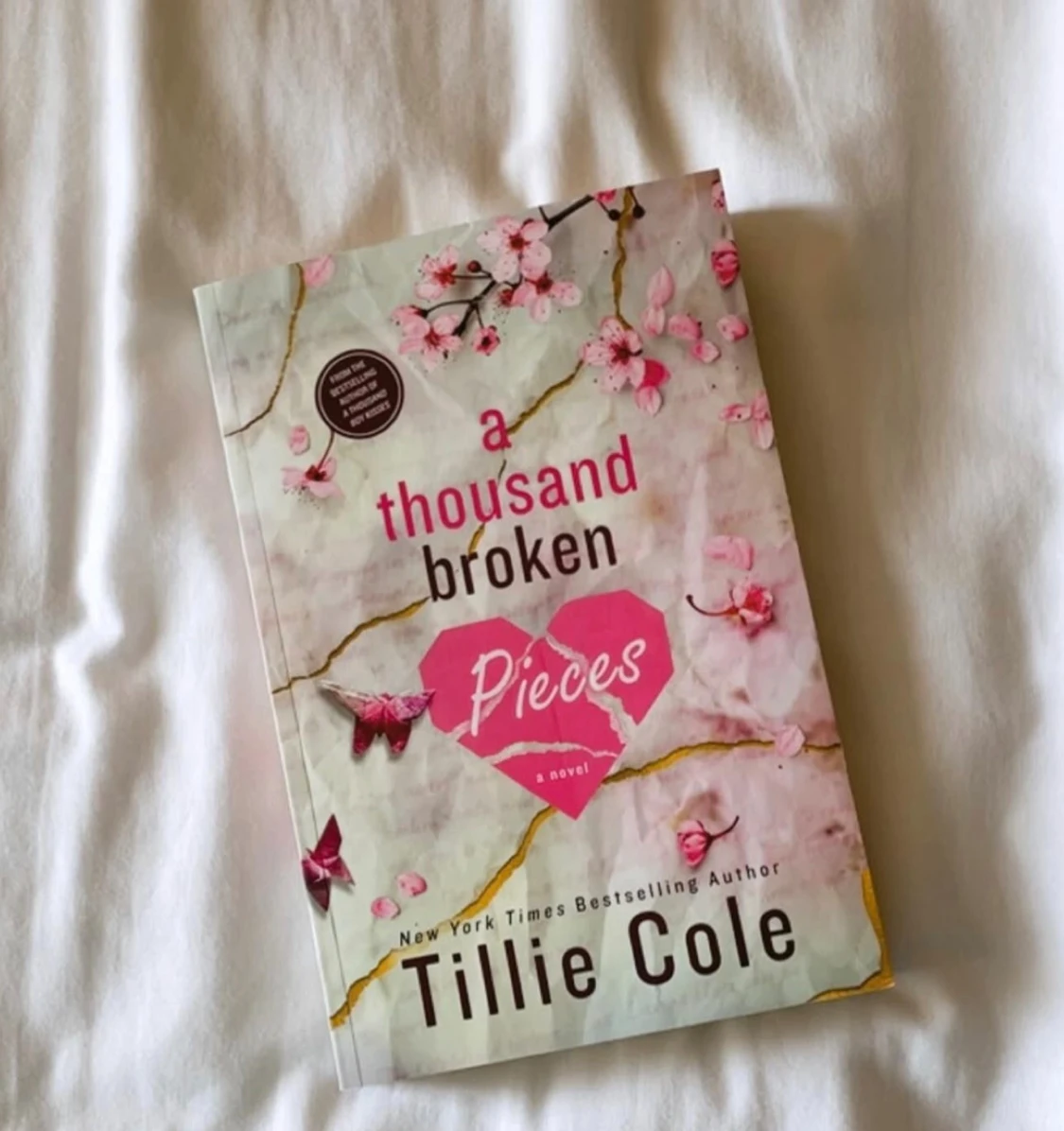 A Thousand Broken Pieces