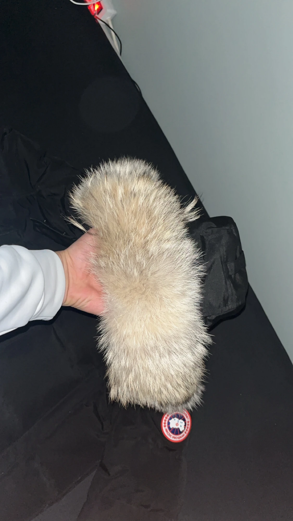 Canada goose Wyndham äkta - 2