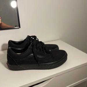 Sneakers  - Väl behållna vans 
