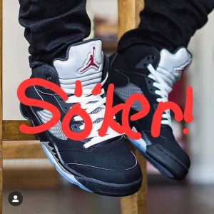 Jordan 5 - Söker jordan 5 black metallic eller vilka jordan 5 som helst i storlek 45,5-46,5. Dm mig också ifall du har jordan 3, 6, eller 7