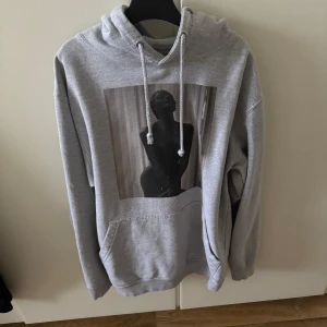 Grå hoodie från The Cool Elephant - Säljer en grå hoodie från The Cool Elephant med en unik tryckdesign på framsidan. Tröjan har en klassisk känguruficka och justerbar huva med snören. Perfekt för en avslappnad stil.