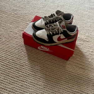 Nike dunk - Rätt används men har riktigt mycket kvar att ge. Köpta på foto locker för ett år sedan man har it kvar kvitto. 
