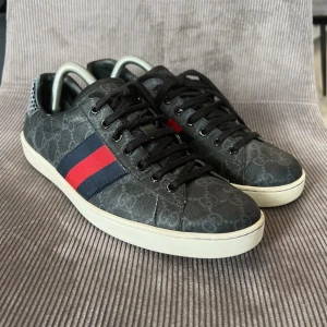 Gucci ace skor - Gucci ace skor i fint skick. Box, skosnören och dustbag medföljer. Pris går att diskutera.