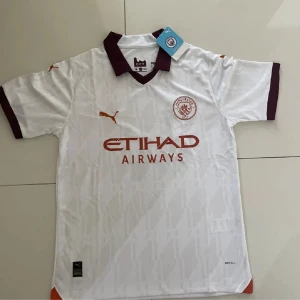 Manchester City borta tröja 23/24 - Säljer denna snygga tröjan då den inte passar mig 