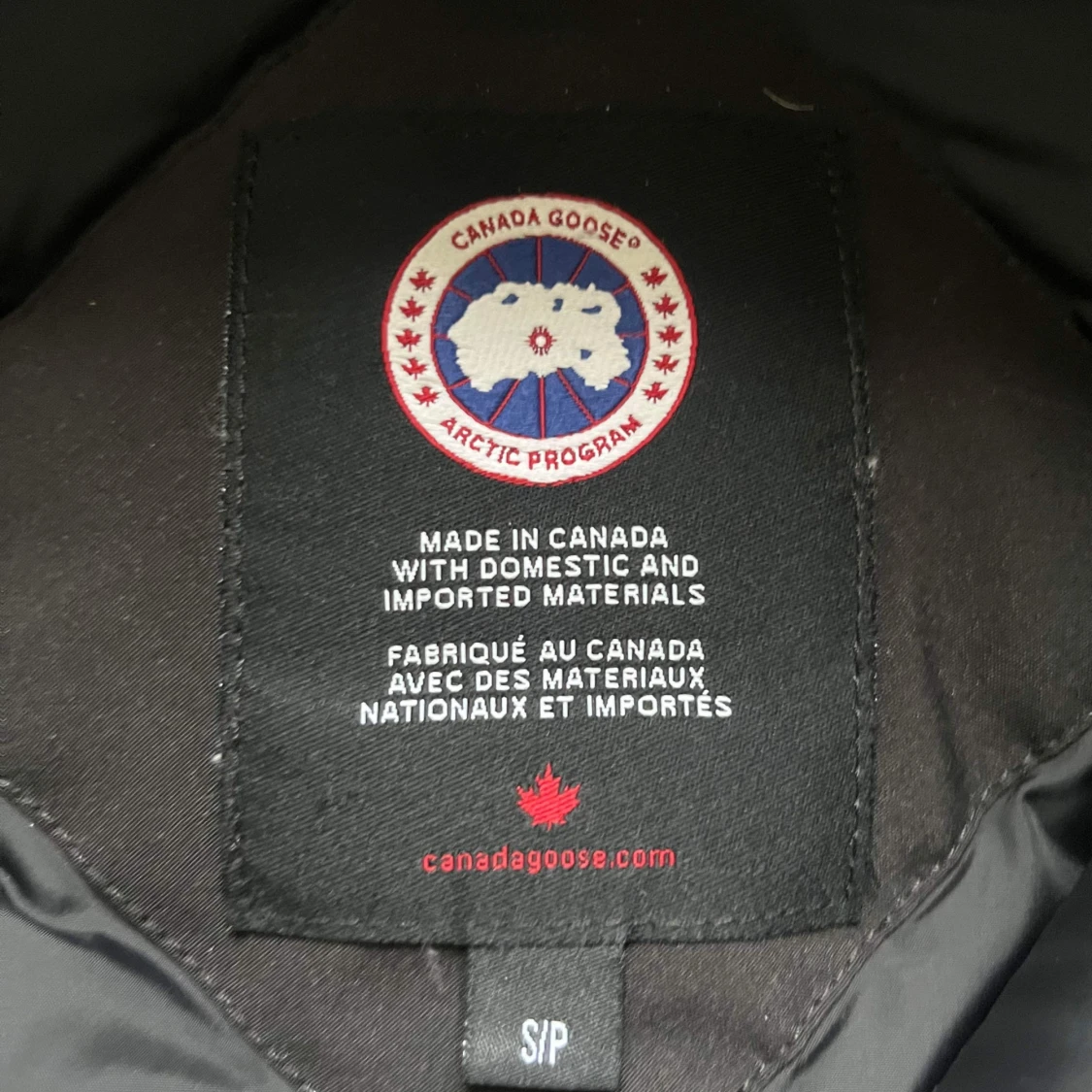 Canada goose longford park.  - 92