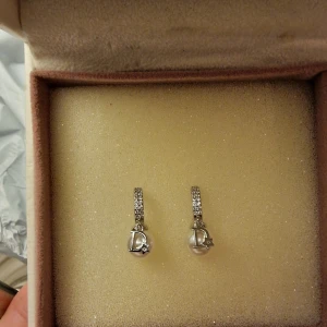 Silverörhängen med pärlor och stjärndetalj - Stilrena oanvända