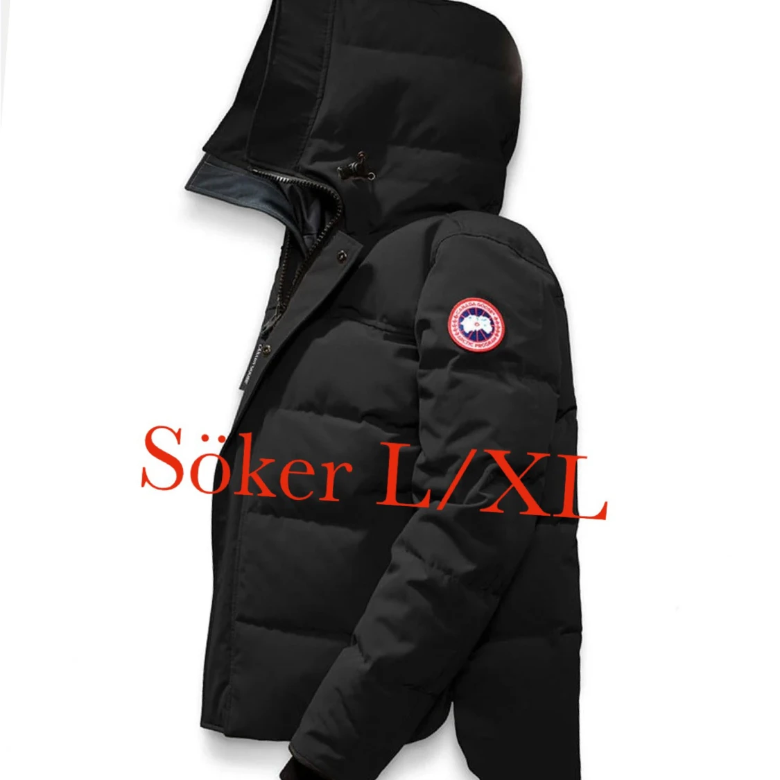canada goose  - 90
