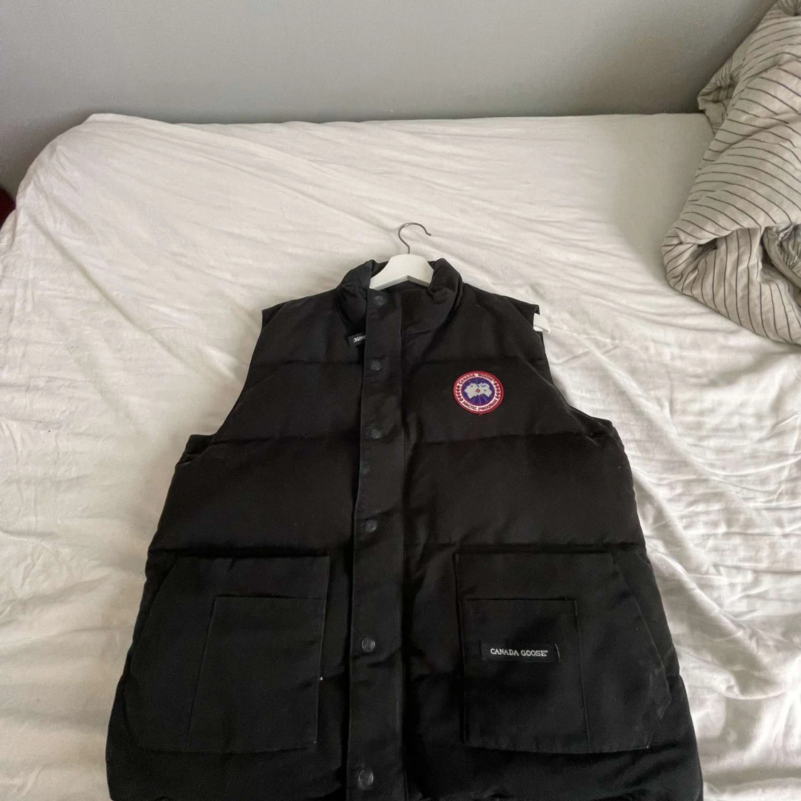 Canada goose - 92
