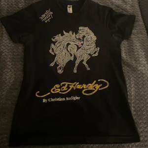 Svart Ed Hardy t-shirt med hästmotiv - Säljer en svart Ed Hardy t-shirt i storlek L med ett coolt hästmotiv på framsidan.  Märkesloggan syns både fram och bak. Använd några gånger, inga skador.