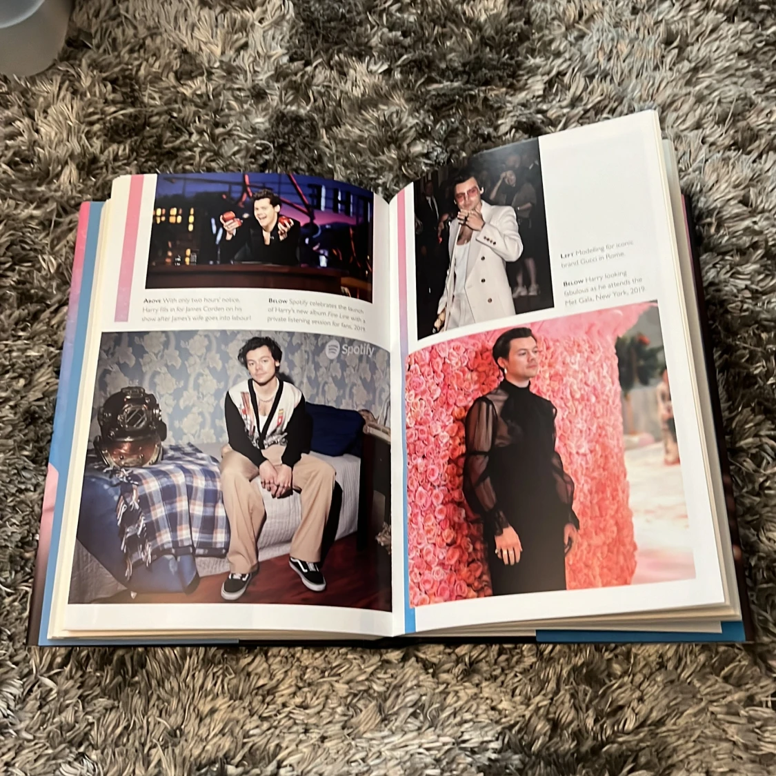 Harry Styles bok  - 93