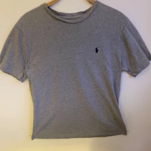 Ralph lauren T-shirt - En fett grå Ralph Lauren T-shirt Som är lätt att matcha med och perfekt till vintern,  skicket på tröjan är 9-10. Skriv till mig om frågor 😊