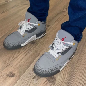 Jordan 3 Cool Grey  - Bra skick! Skriv om det finns några frågor 😁! 