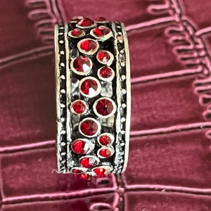 Ring med röda stenar - Snygg ring dekorerad med röda stenar i en rad runt hela ringen. Den har en silverfärgad bas med detaljerade kanter som ger en elegant look. Perfekt för att lägga till en färgklick till din outfit.