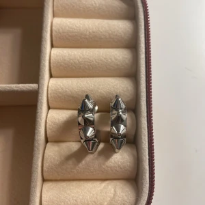 Edblad örhängen  -  Säljer dessa super snygga Edblad örhängen då de inte kommer till användning längre 💗💗