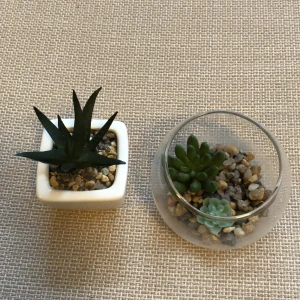 Plast växter - Okej skick, använd