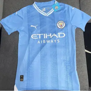 Säljer en ljusblå Manchester City fotbollströja från Puma. Den har ett snyggt randigt mönster och korta ärmar. Tröjan är i nyskick och har klubbens emblem samt sponsorlogga på framsidan. Perfekt för alla City-fans!