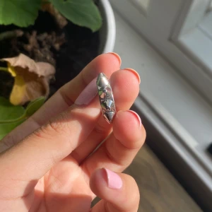 1 Edblad örhänge  - Bara 1 nit örhänge från Edblad. Säljer för jag tappa bort den andra så använde inte längre. Snyggt att ha i örat om man har fler hål i örat💕