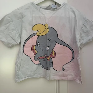 Dumbo barntröja - Dumbo barntröja från zara jätte fin